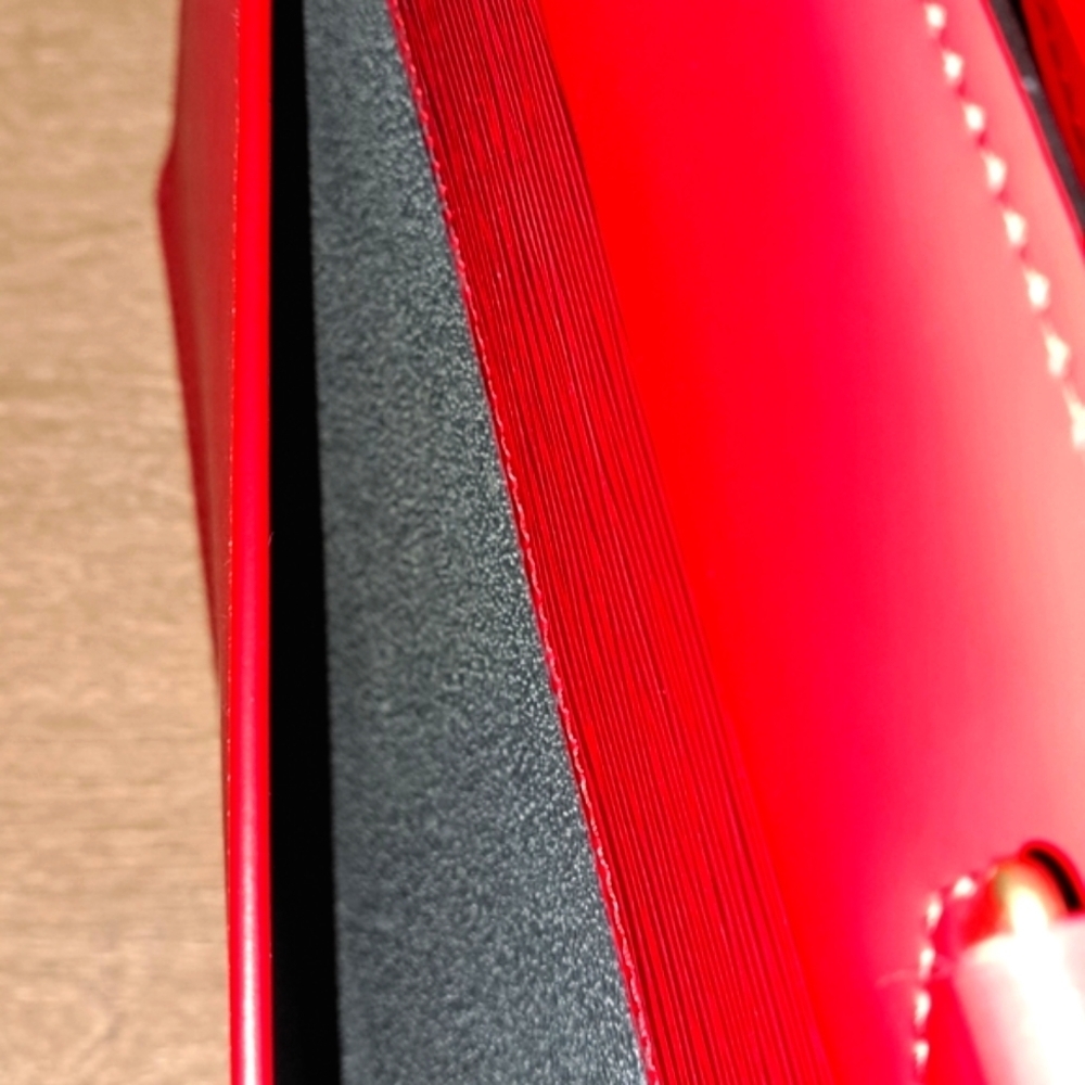 Louis Vuitton Riviera Red EPI tote Authentic - Picture 11 of 16